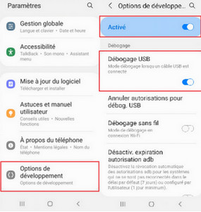 Entrer en mode developpeur